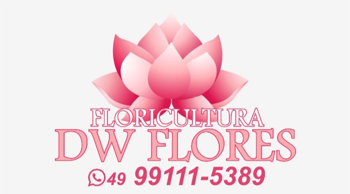 DW Flores