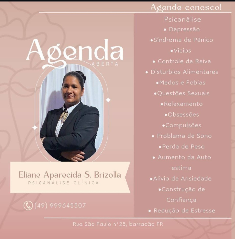 Eliane Aparecida S. Brizolla